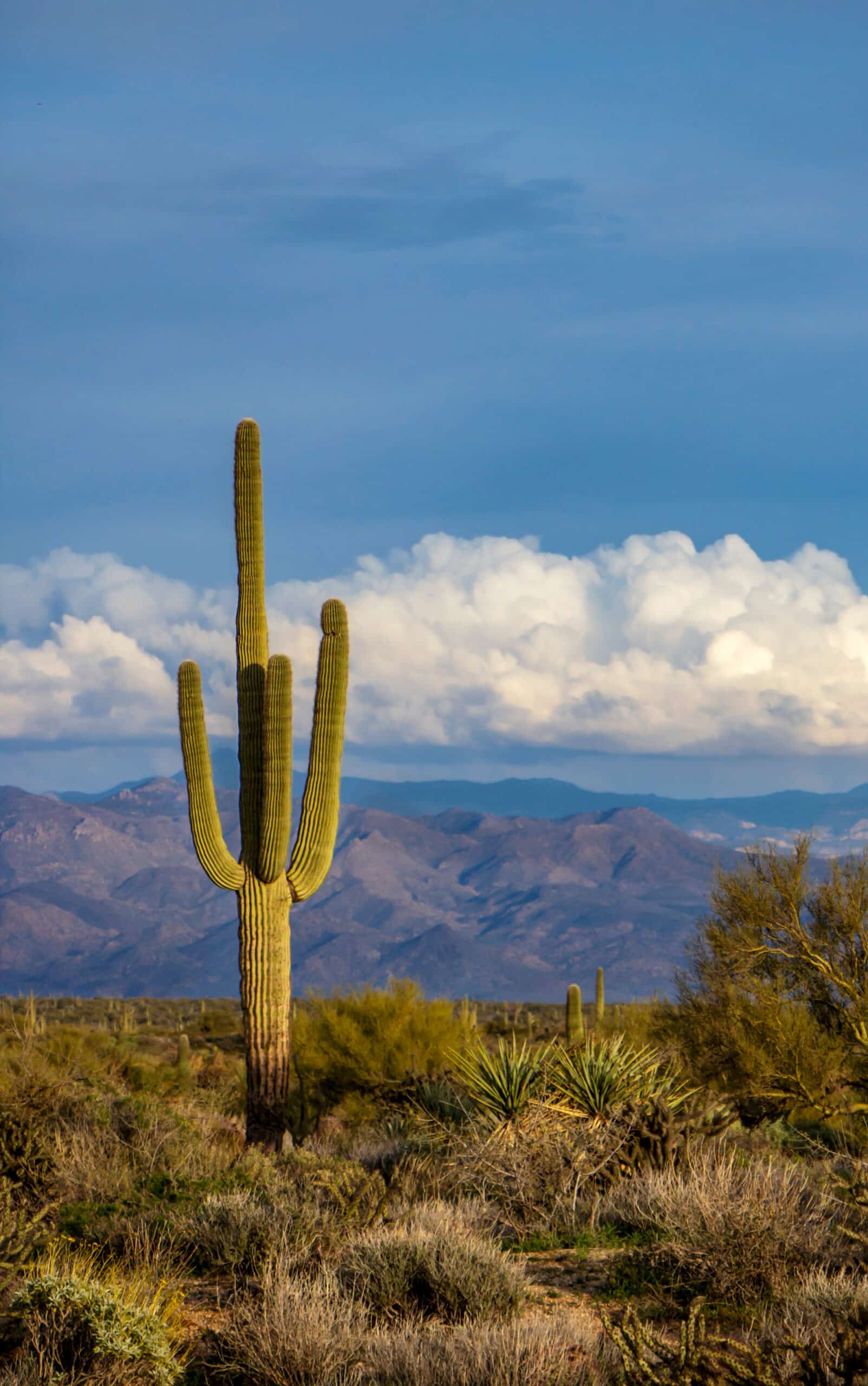 Queen Creek Drug and Alcohol Rehab Center - Seven Arrows Recovery