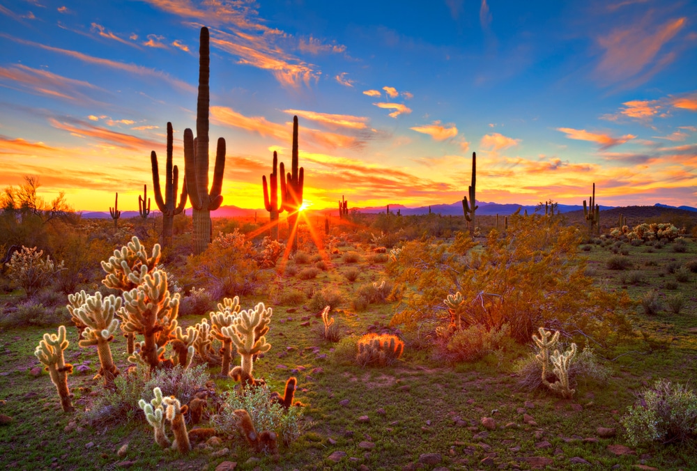 View of Arizona desert at sunset