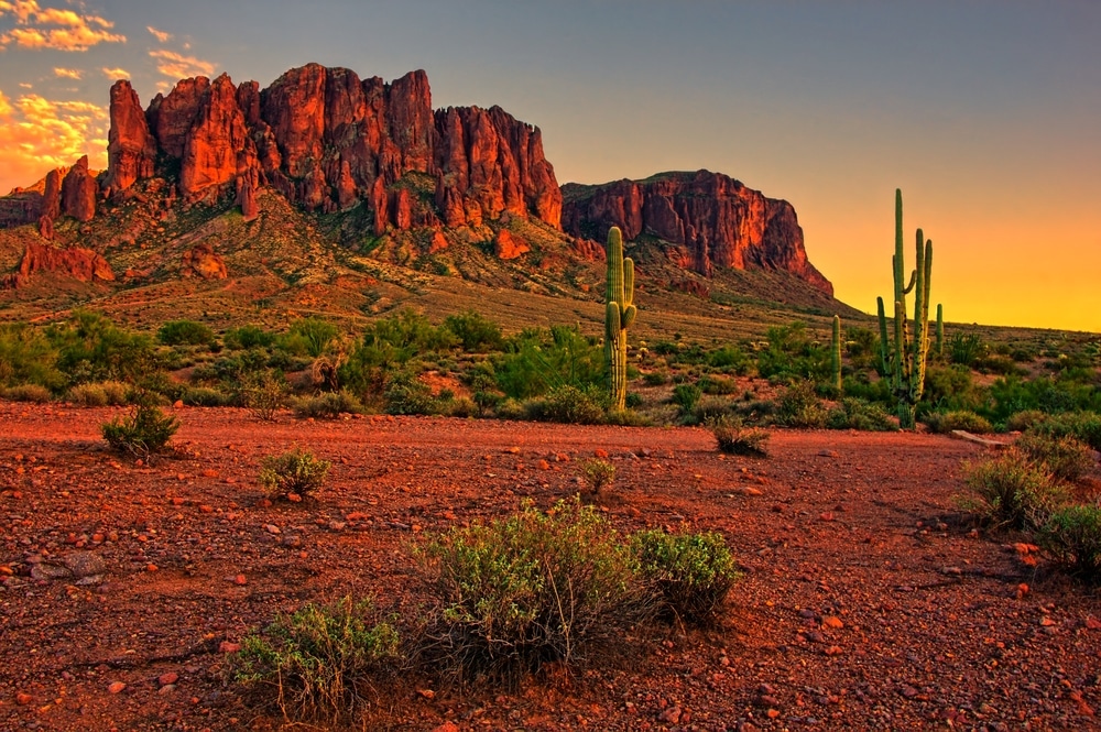 Sunset in the Arizona desert.