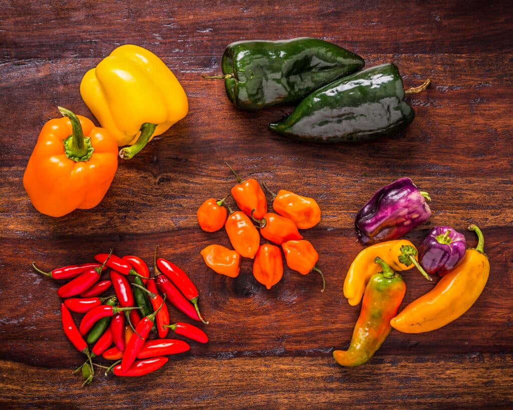 Vegetables and Nutrition