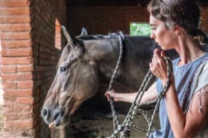 Equine Experience in Arizona for Addiction
