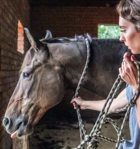 Equine Experience in Arizona for Addiction