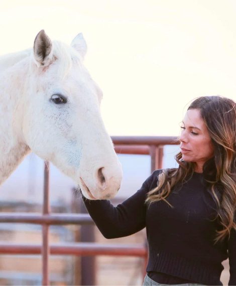 Equine Experience